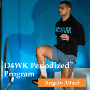 D4WK Periodized Program