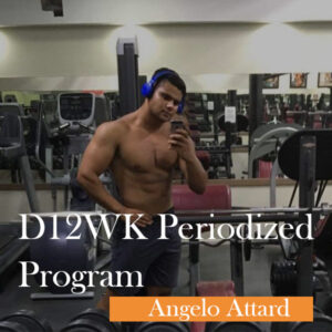 D12WK Periodized Program