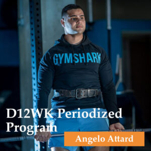 D12WK Periodized Program